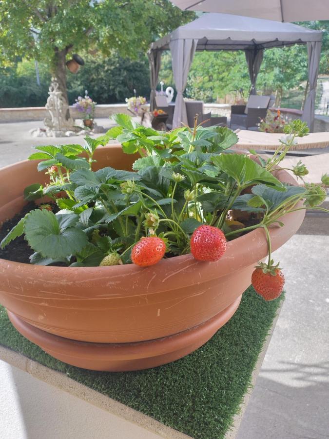"Il Miglio" Country House Pettorano sul Gizio Eksteriør billede
